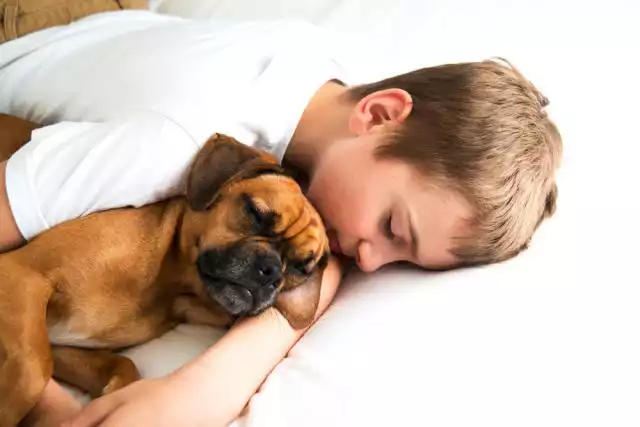 reduce symptoms of dog-allergies with an air-purifier