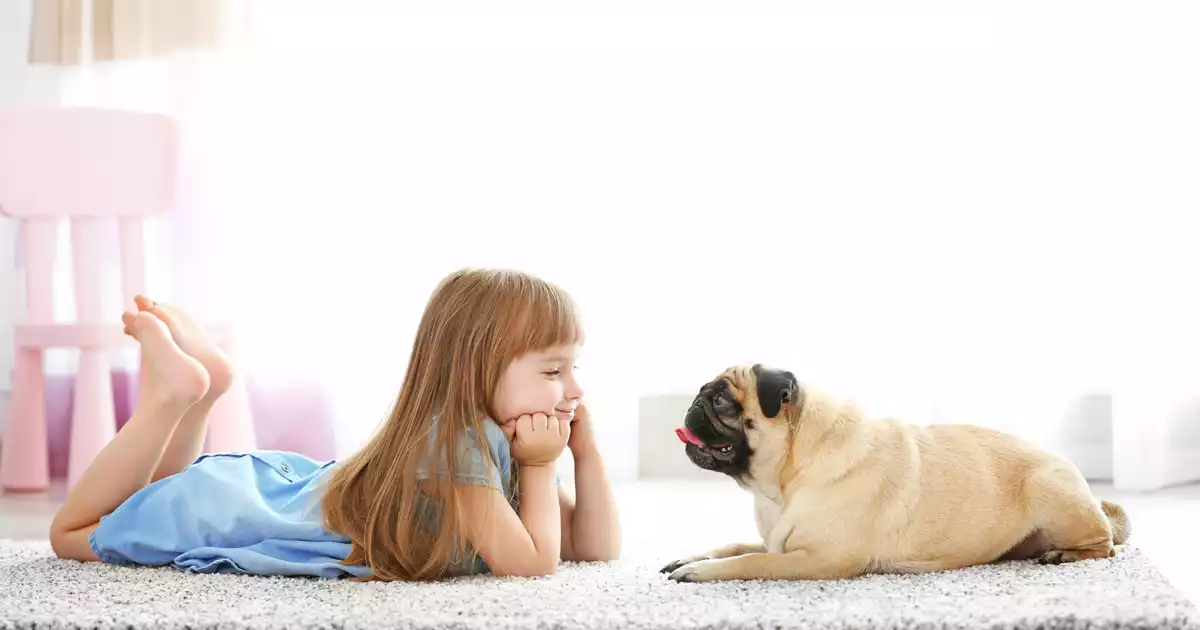 common sources of indoor air pollution