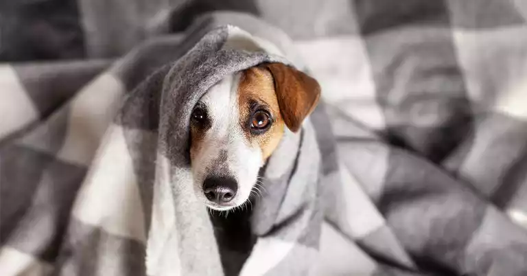 Battle The Winter Blues