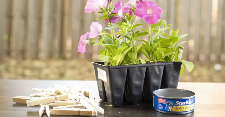DIY-homemade-flower-pot