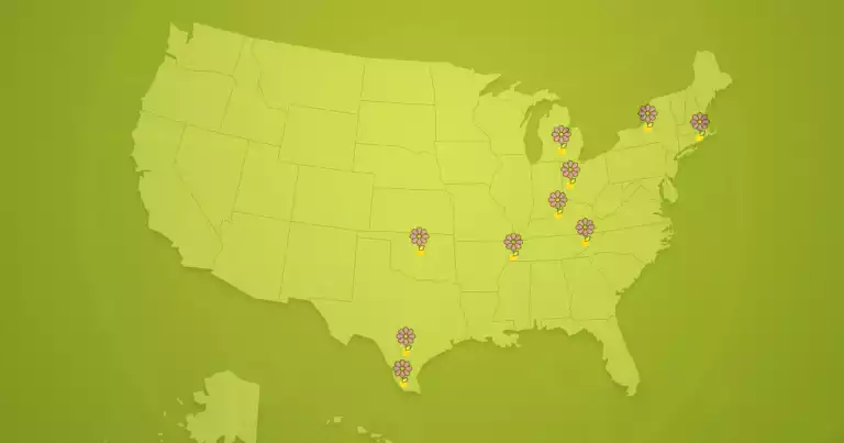 The Ten Best and Worst Cities for Spring Allergies in the United States