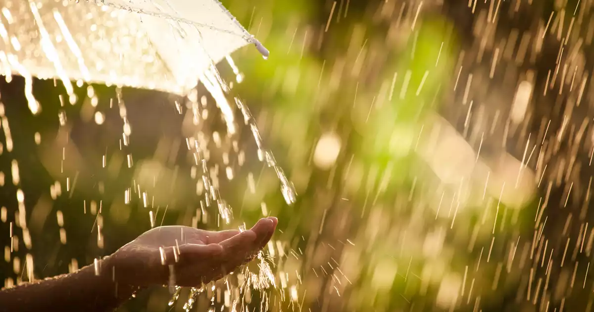 spring-rain-showers-allergies