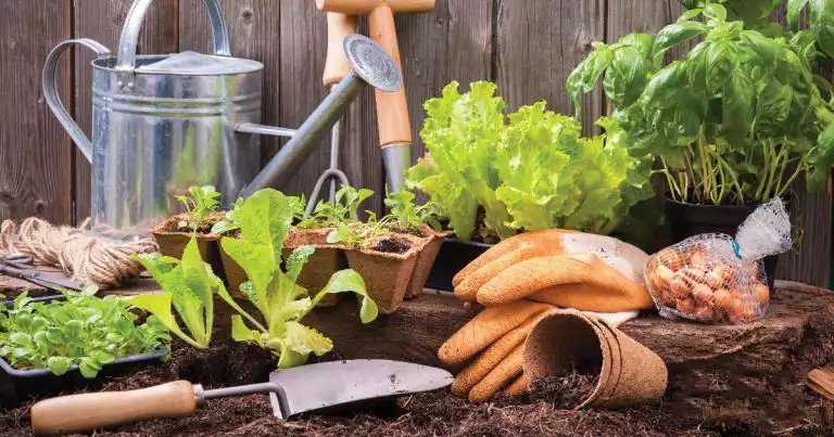 sustainable-landscaping-tips