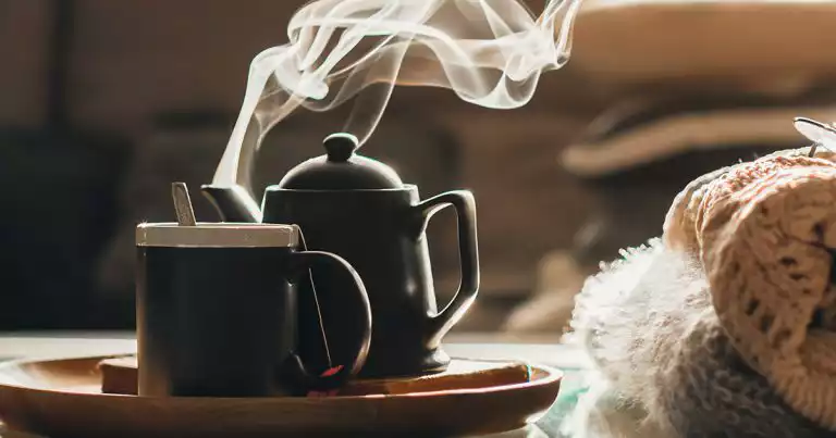 how absolute humidity helps during flu season