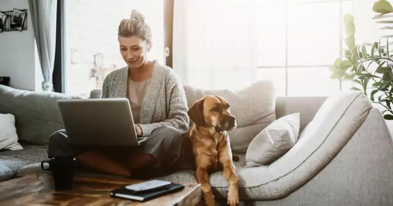remove pet dander