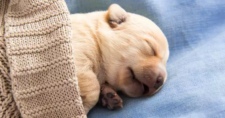 sleep environment