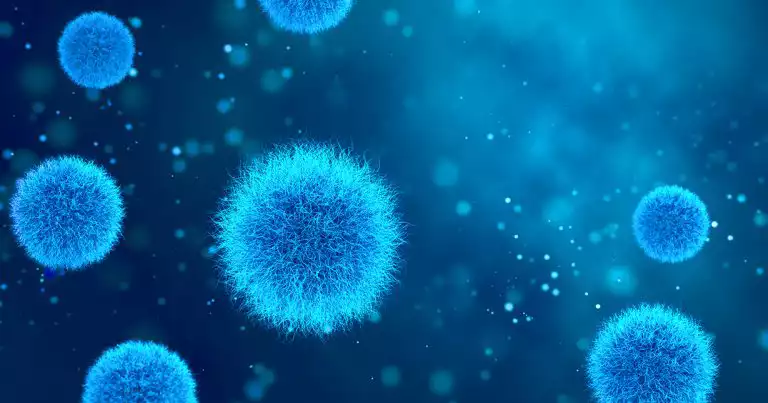 the relationship between relative humidity and airborne viruses