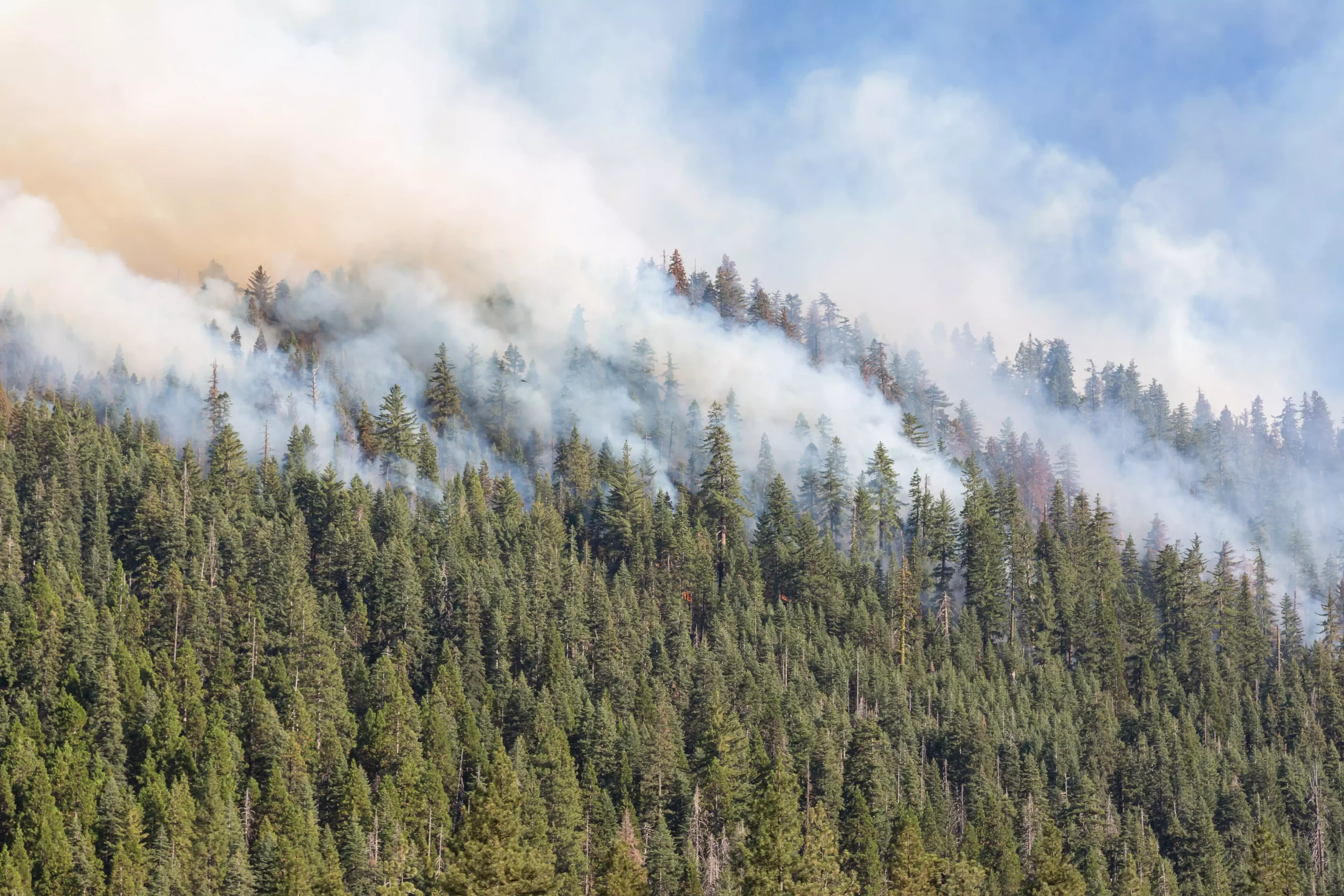 2022 Wildfire Forecast for July, August, and September