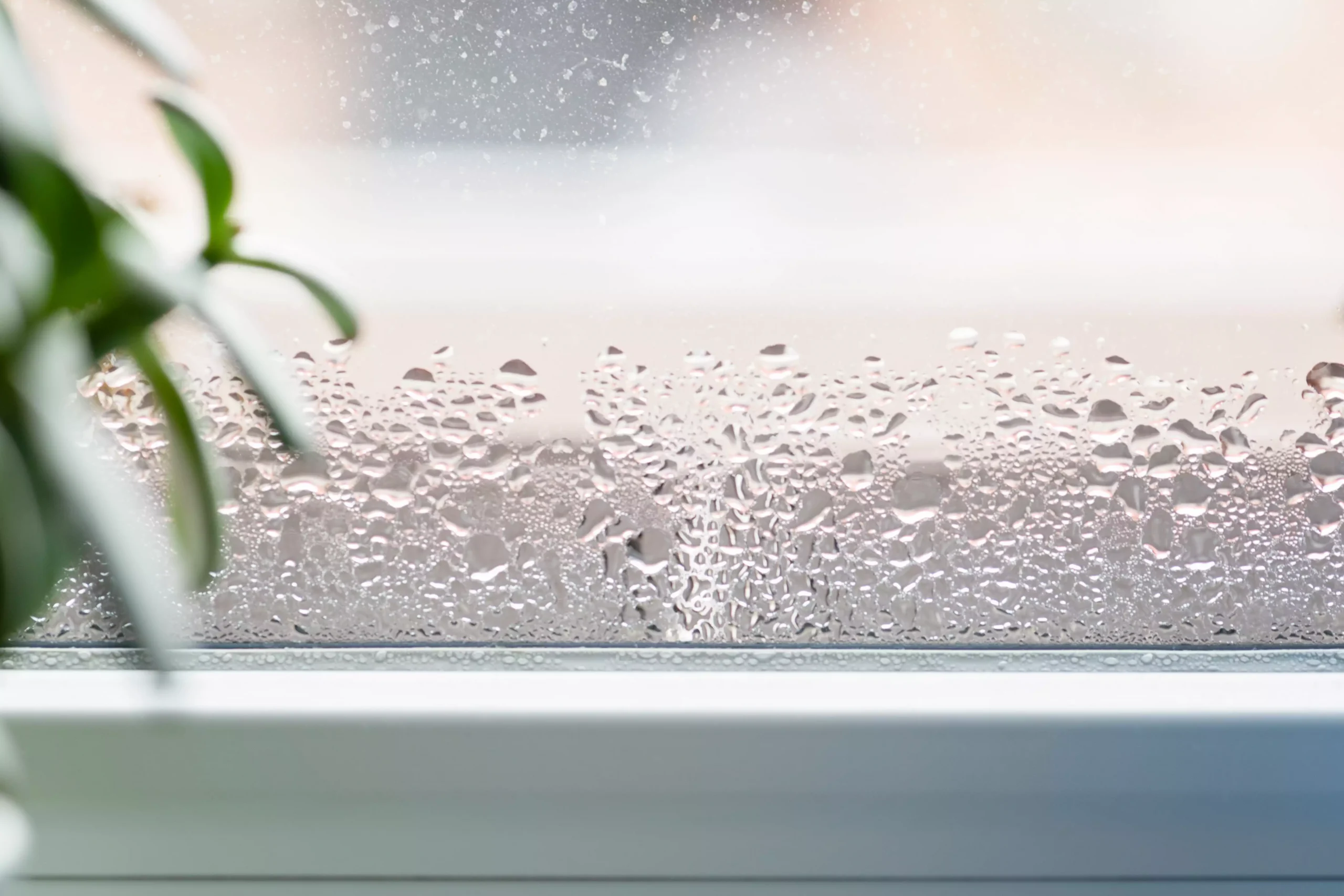 Hair in Humidity and Other Symptoms of High Humidity in Homes