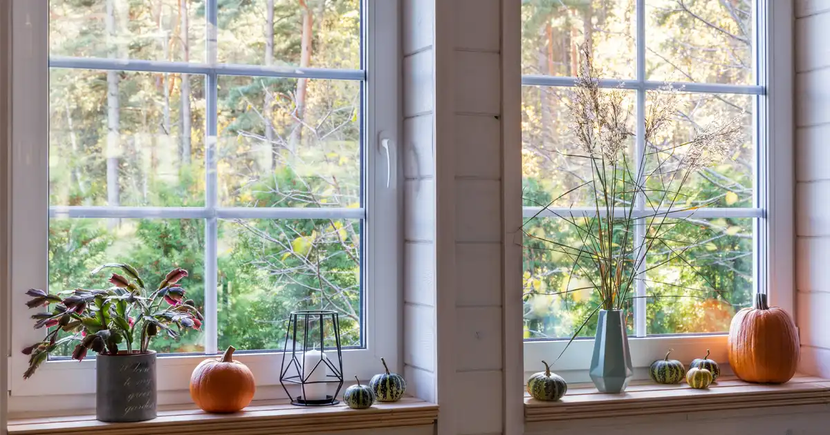 How Fall Pests Get In Your Home