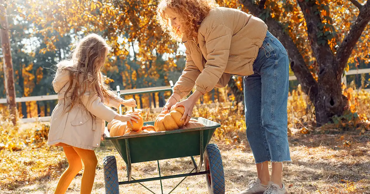 Allergies in the Fall: Your Allergy Symptoms and Solutions Explained