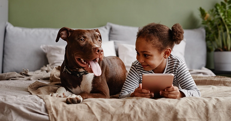 Why Homeowners Should Care About Indoor Air Quality