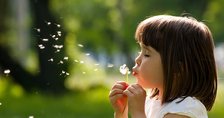 Spring Allergies by Region