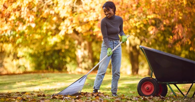 Stay Ahead of Fall Allergies With Healthy Air