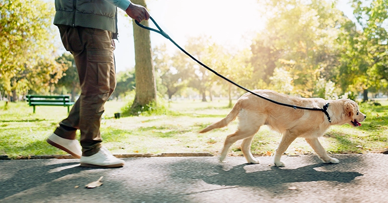 How to Make the Most of Outdoor Time Without Bringing Pollutants Inside