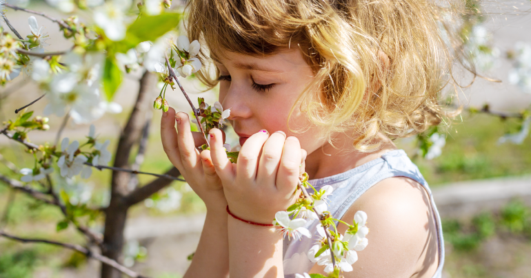 Five Things You Didn’t Know About Spring Allergies