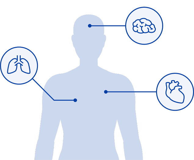 human body organs