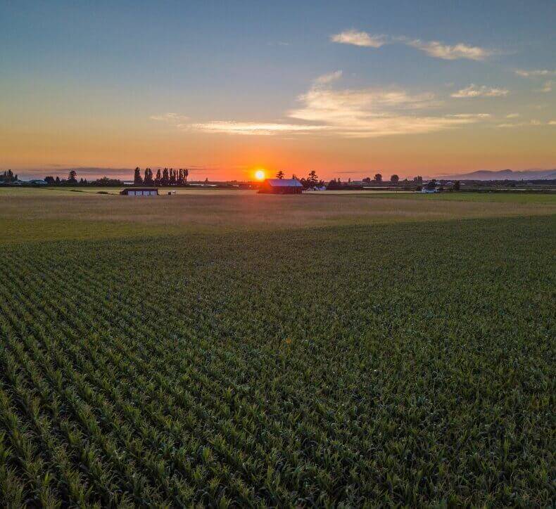 midwest farm