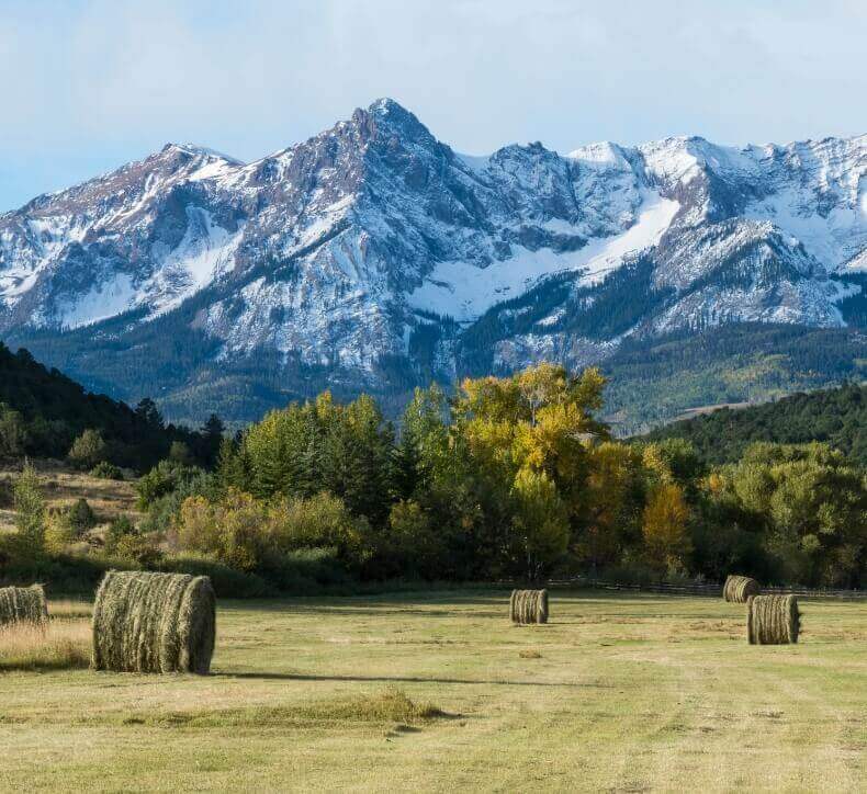 rockies nature