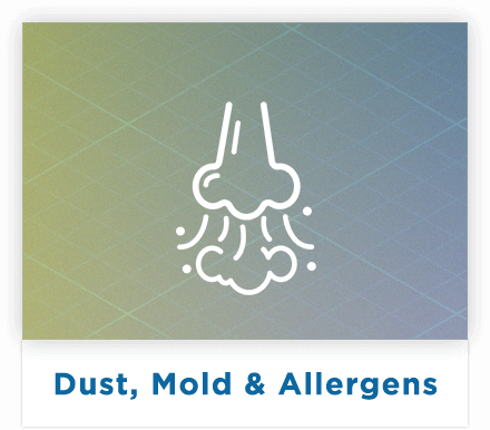 mold allergies