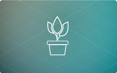 HealthyHome BluePrints plants