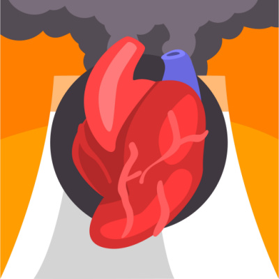 air pollution causes heart disease