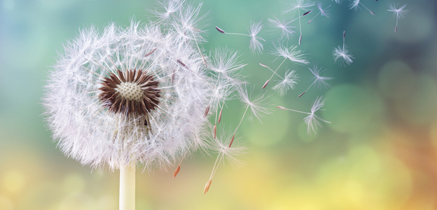 impact of climate change on pollen season