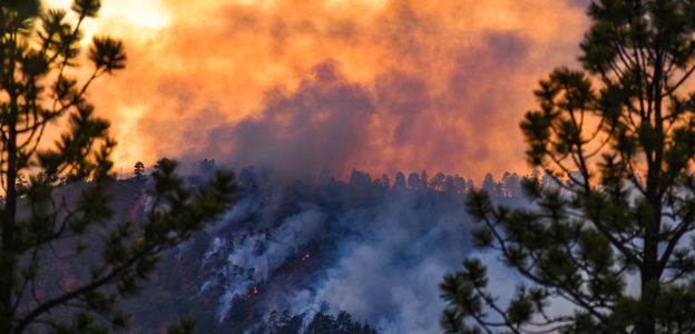 impact of wildfire smoke on air quality