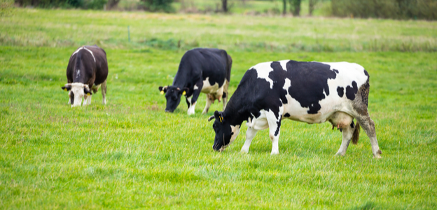 carbon dioxide and methane emissions