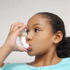 Whole Home Dehumidifier