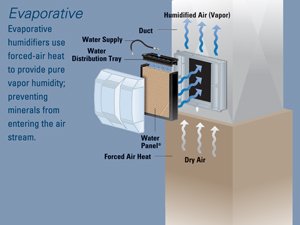 whole room humidifier