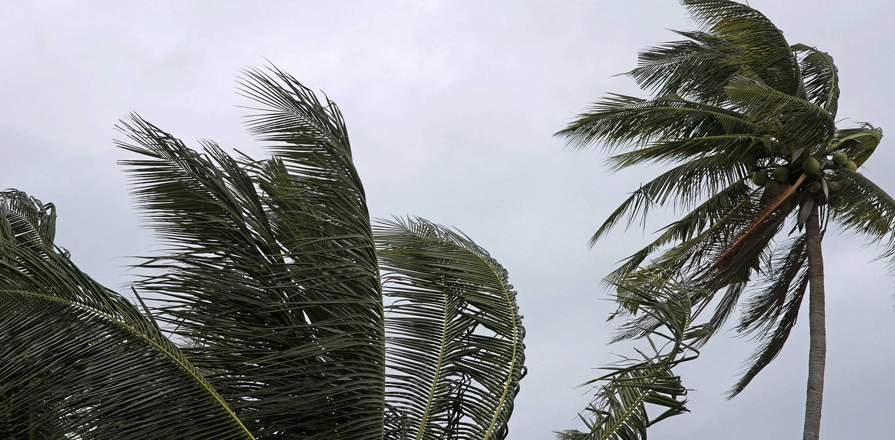 When Hurricanes Won’t Give You a Breather, AprilAire Can