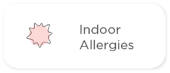 Indoor Allergies