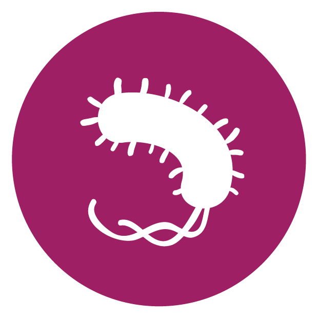 aprilaire bacteria