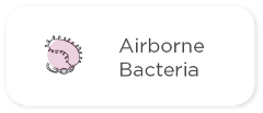 Airborne Bacteria