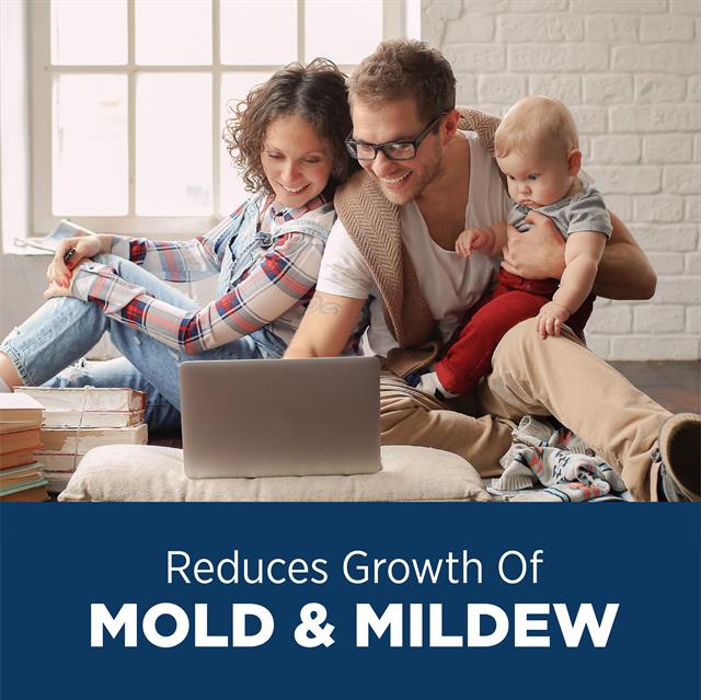 Dehumidifier 1852 Reduces Growth of Mold   Mildew Basement Crawlspace