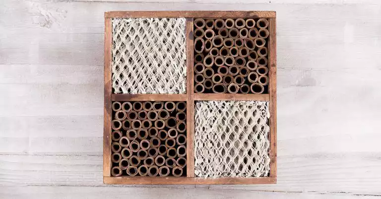 build a mason bee house