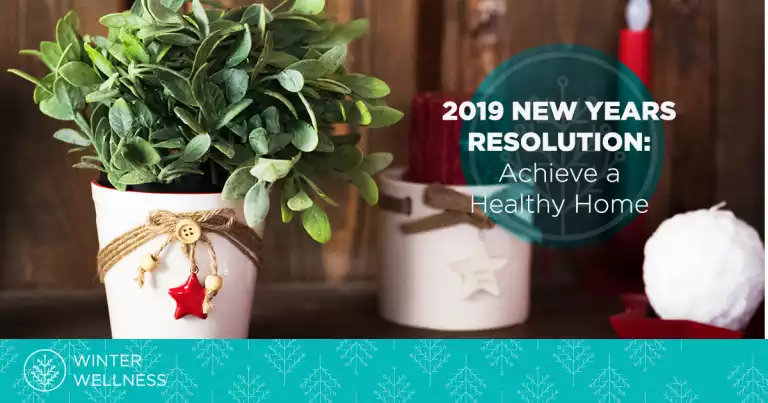 New Year’s Resolutions: Achieve a Healthier Home This Year