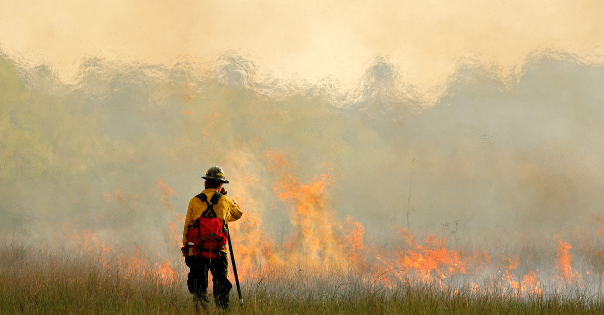 Five States at Risk of Smoke Inhalation During Wildfire Season, Ranked