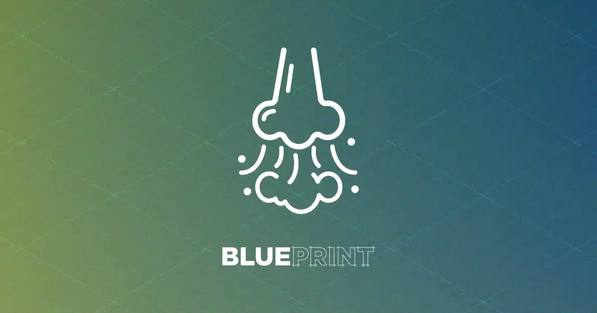 Healthy Home Blueprint: Fighting Allergens, like Dust Mites and Mold