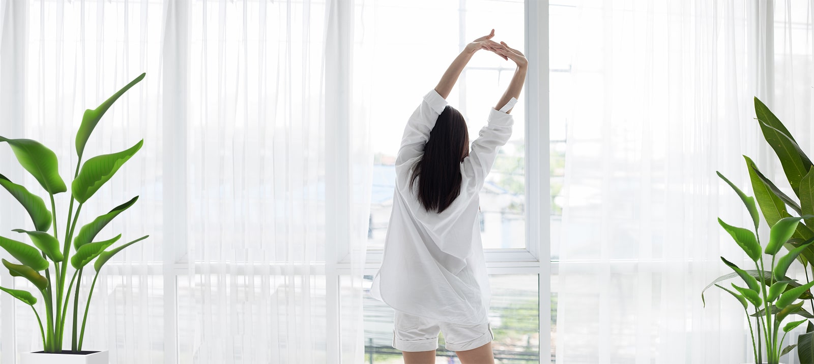 A person in white pajamas stands with their back to the camera, stretching their arms overhead in front of a bright, sheer-curtained window between two potted plants.