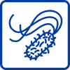 Help Prevent Pests